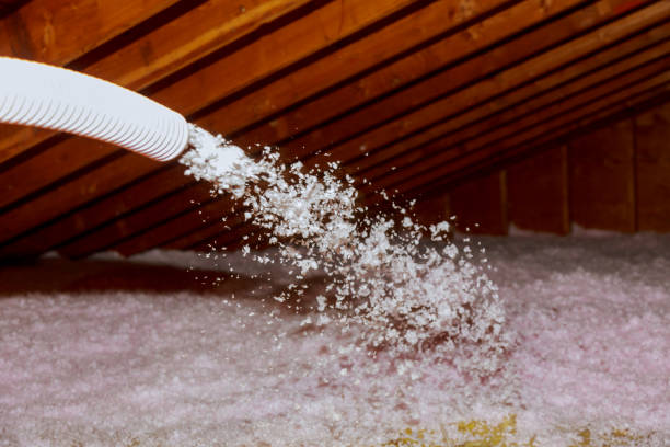 Best Insulation Repair Services  in Salyersville, KY
