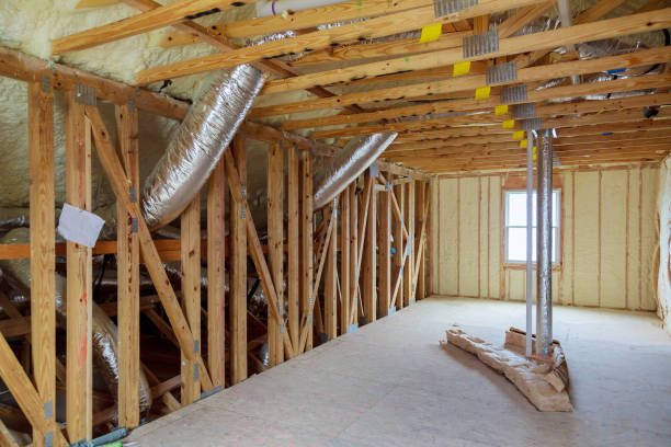 Best Insulation Removal  in Salyersville, KY